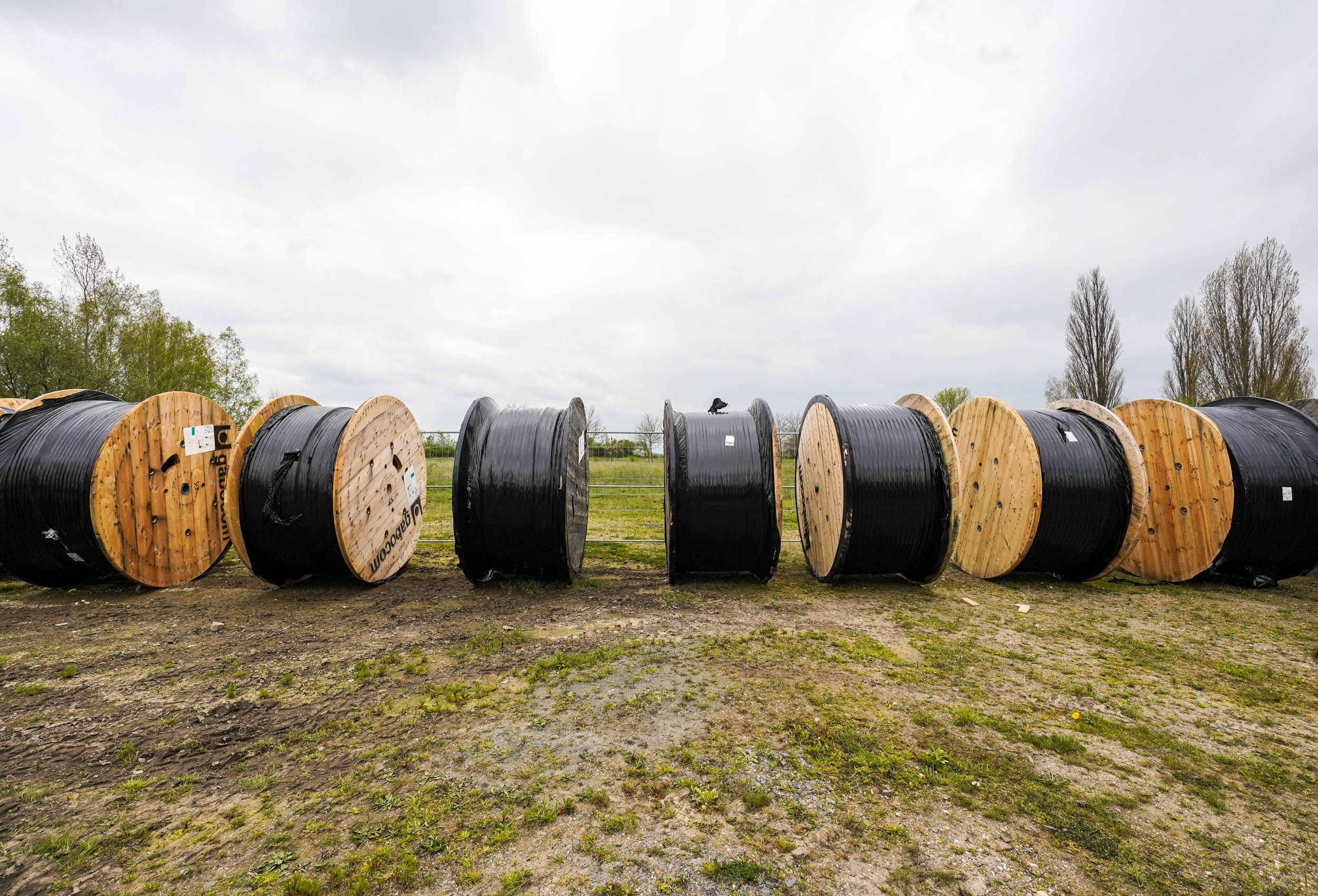 LPF_2023_Breitbandausbau_Grimma_1(S)